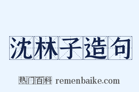 沈林子造句是什么意思的图片